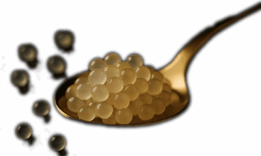 L’excellence des œufs d’escargot
